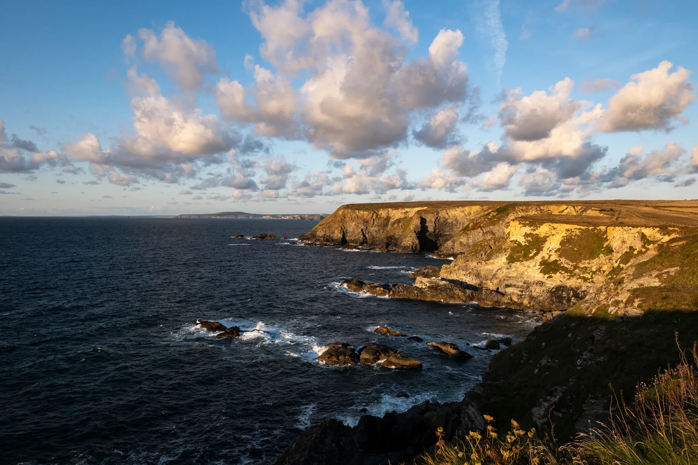 Golden cliff coast