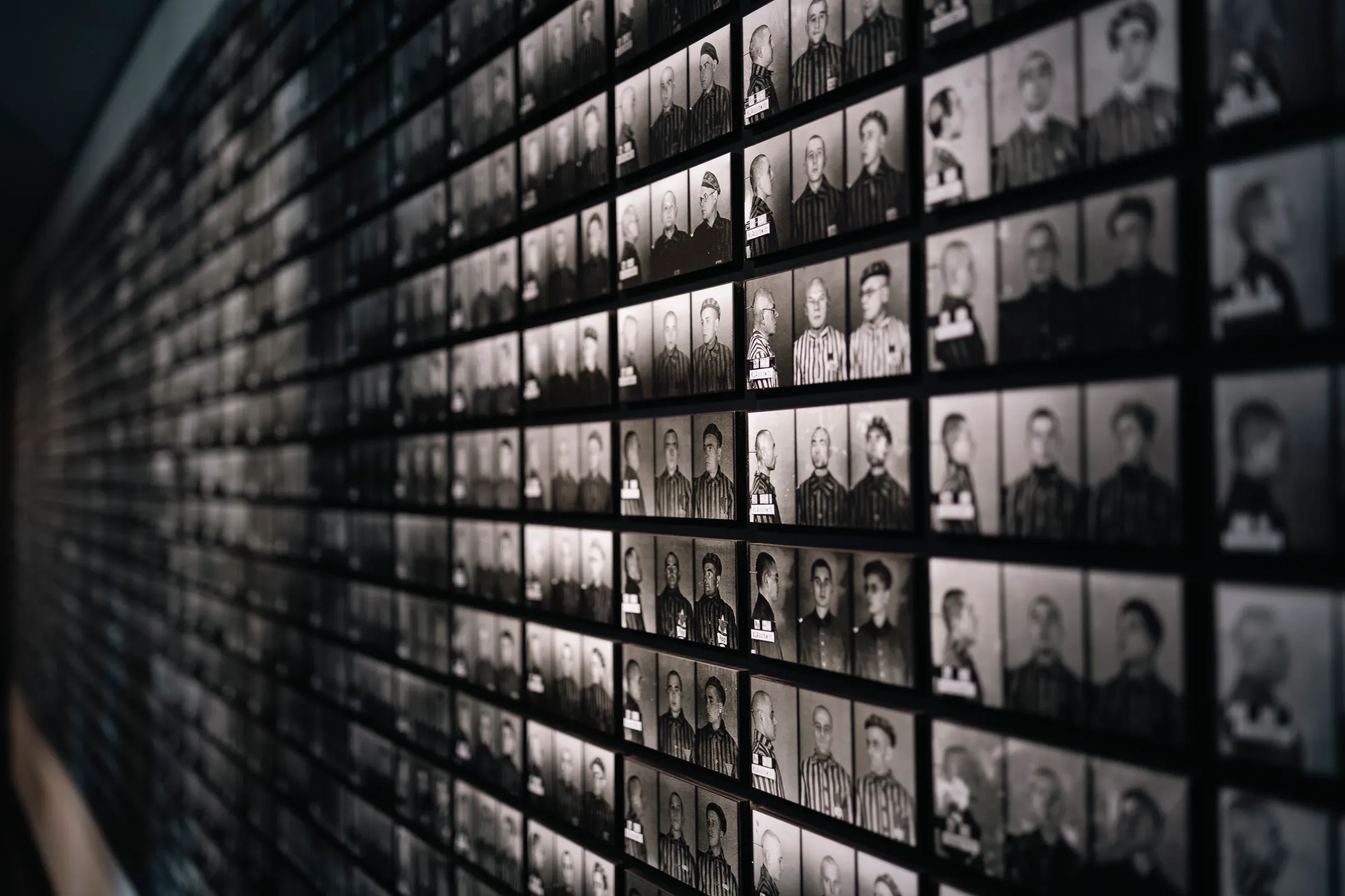 Gezichten van Auschwitz