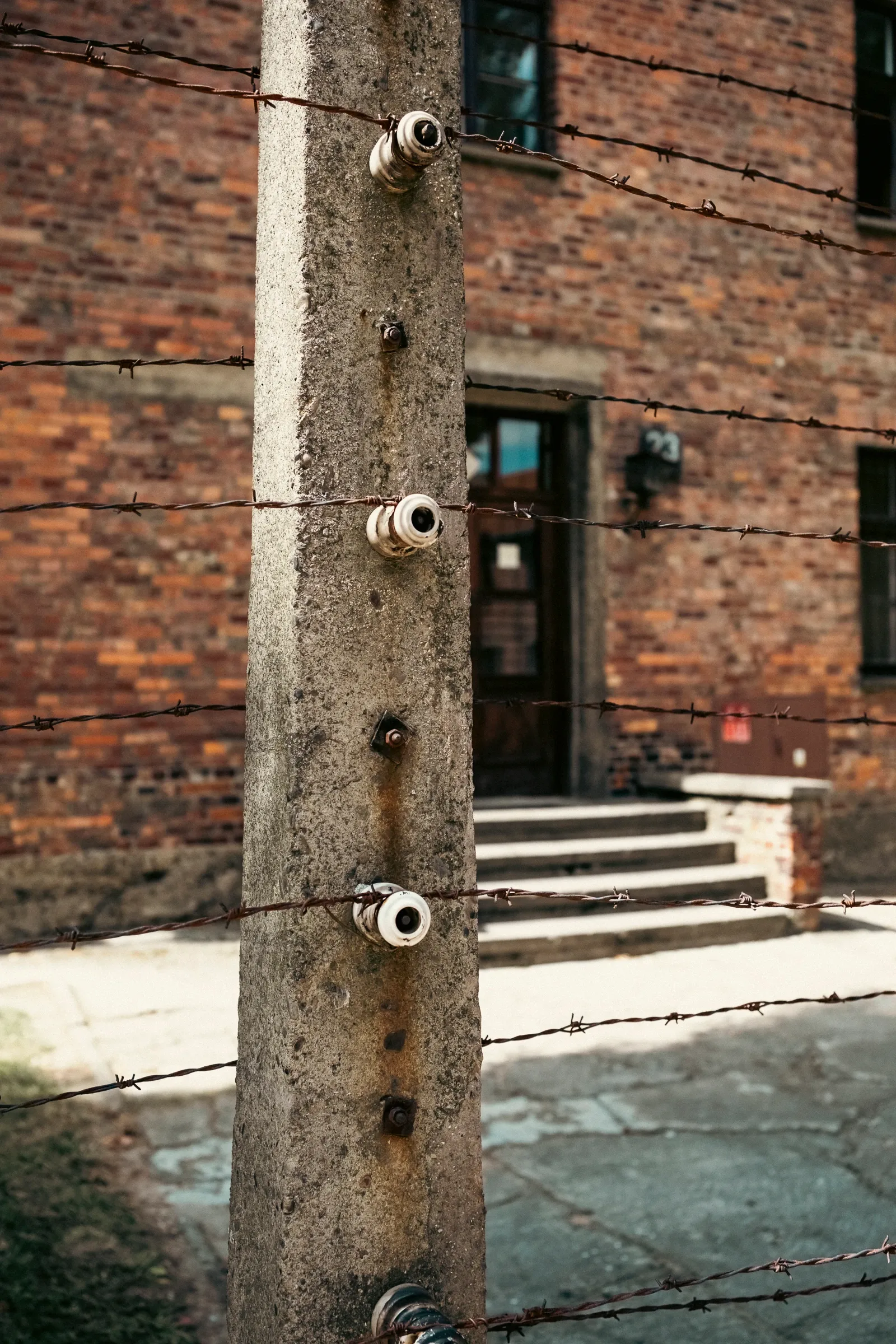 Auschwitz in prikkeldraad