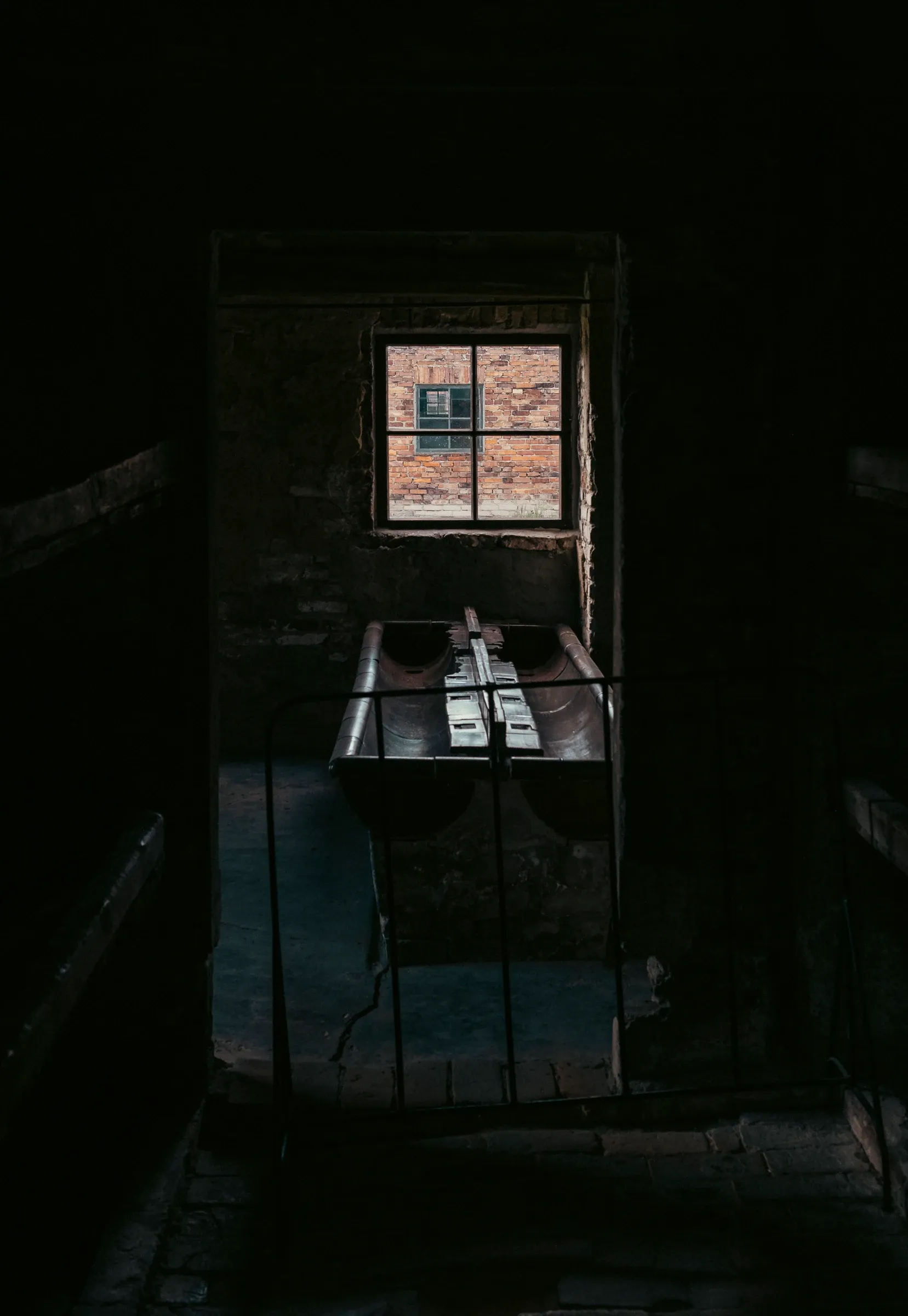 Duisternis in Auschwitz