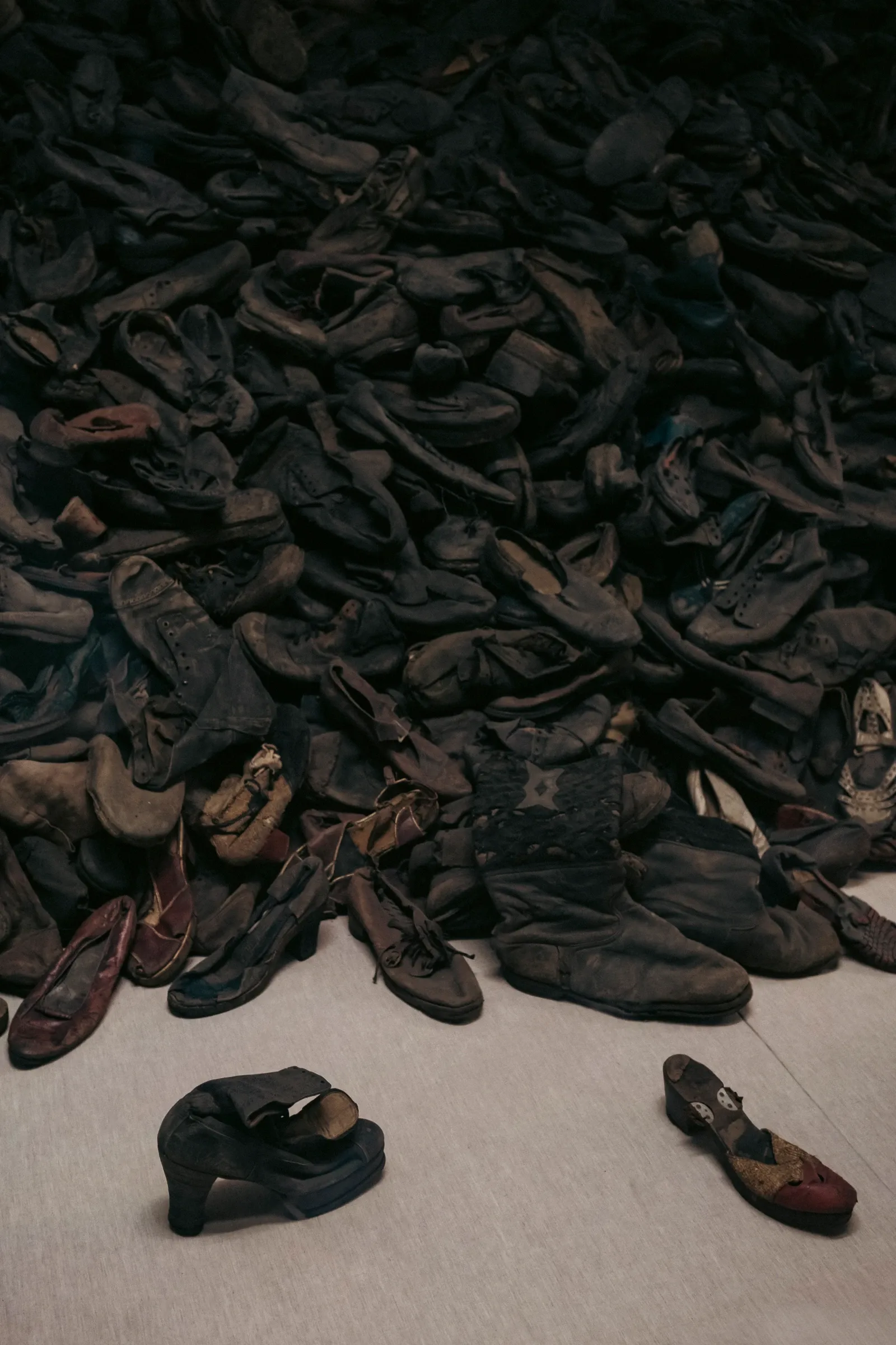 Schoenen van Auschwitz