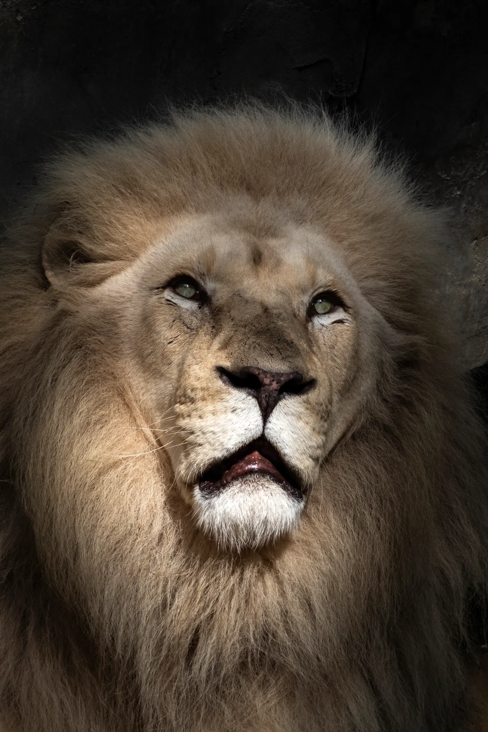 Zoo photography